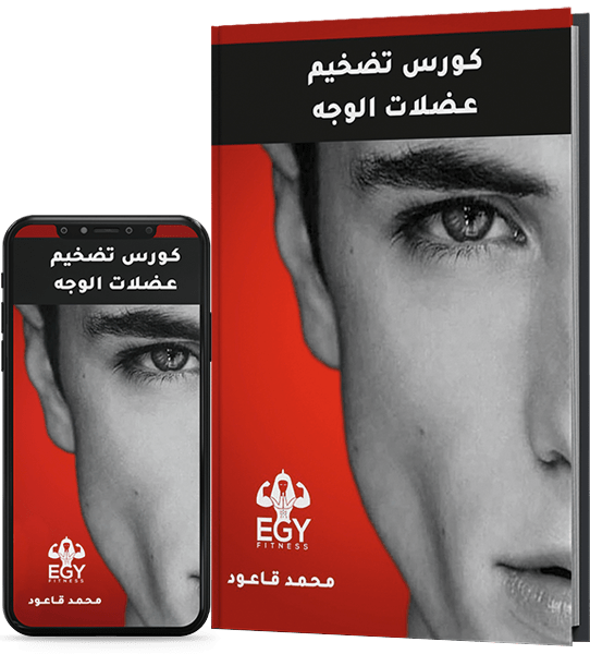 egyfitness