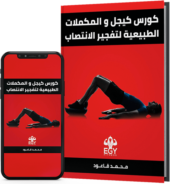 egyfitness