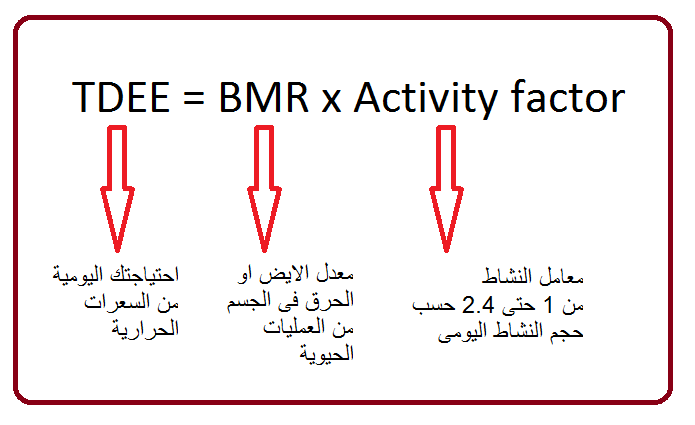 سعرات حرارية حساب سعرات