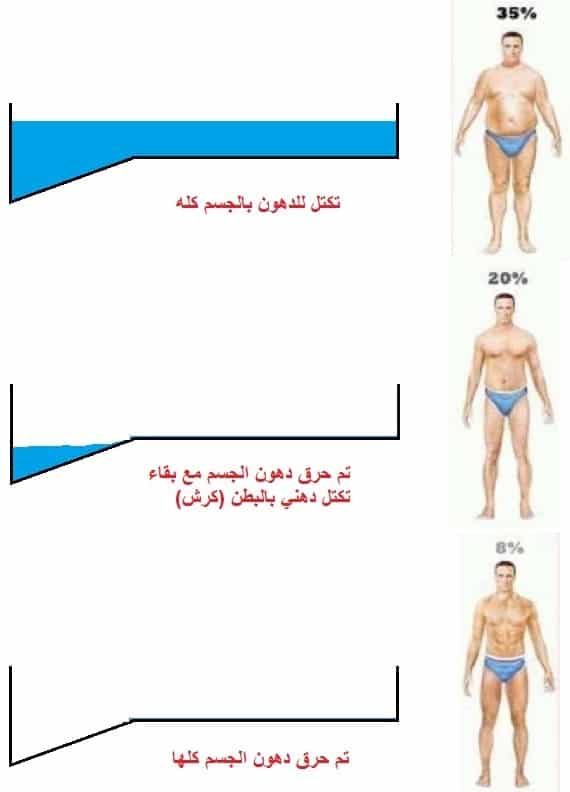 تخسيس الكرش تخسيس البطن