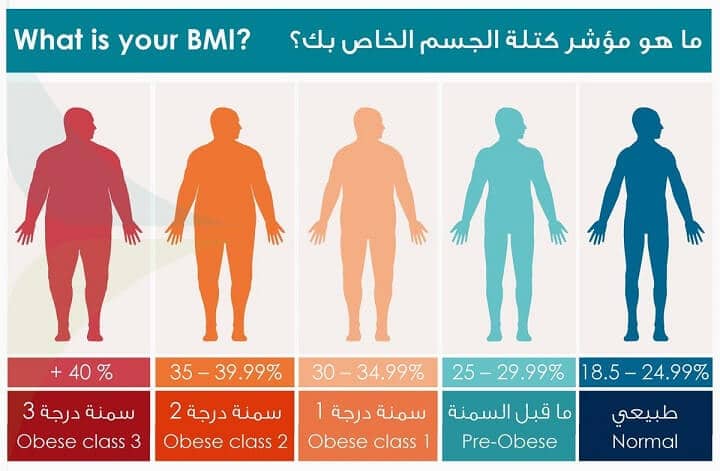 حساب الوزن المثالي مؤشر كتلة الجسم نسبة الدهون والماء والعضلات