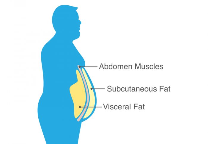 Abdominal fat