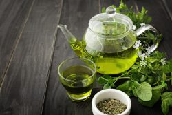 Green Tea extract 