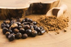 Guarana Seed Extract